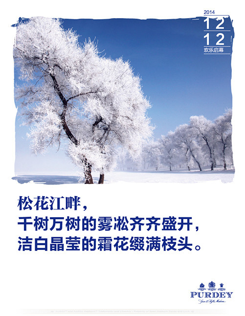 今冬大的福利来啦！畅游冰雪童话世界！免费(图2)