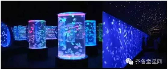 山东首届大型梦幻水母展开幕啦!什么?!深海(图8) 山东首届大型梦幻水母展开幕啦!什么?!深海(图8)