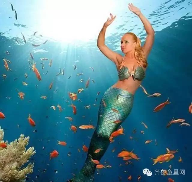 山东首届大型梦幻水母展开幕啦!什么?!深海(图7) 山东首届大型梦幻水母展开幕啦!什么?!深海(图7)
