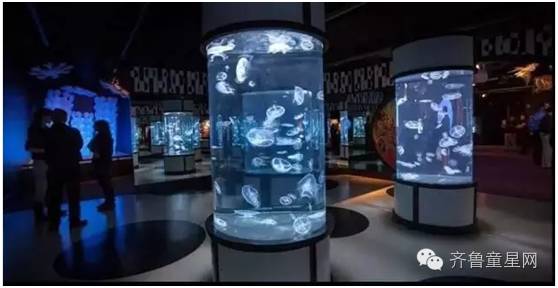 山东首届大型梦幻水母展开幕啦！什么？！深海(图9)
