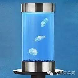 山东首届大型梦幻水母展开幕啦!什么?!深海(图18) 山东首届大型梦幻水母展开幕啦!什么?!深海(图18)