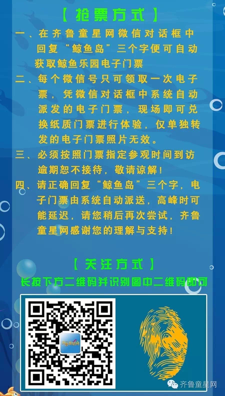 济南震“鲸”了，近5000人登陆鲸鱼岛 ——鲸鱼岛(图22)